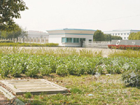 �̻��������߲�,�ѿ�!