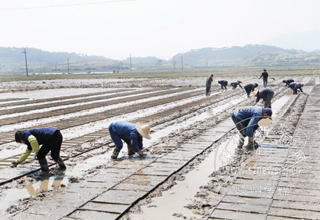 ���ش�� ����ϣ��