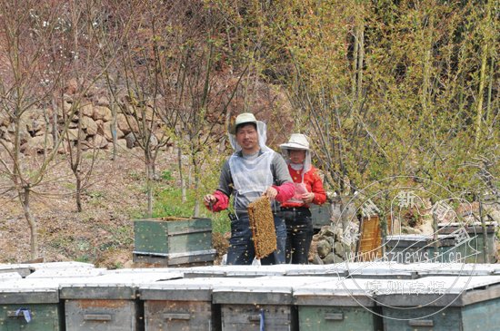 �����˴�������æȡ����