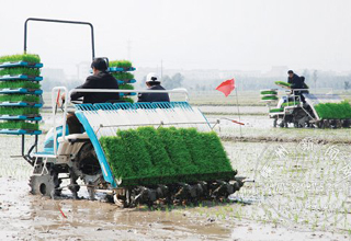 ��е���� �ֺ��ֿ�