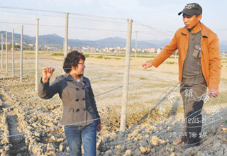 ������ֲˣ�������Ϻ��