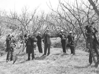 �������ѧ��Ӱ�ൽ������������زɷ�