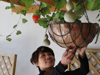 ��Բ����װ�η��Ӻ�����