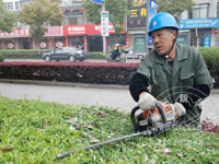 ��ѿ֦ͷ�� ��������æ