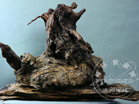 �ų�ľ�������˼���ǧ�꡷����