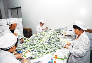 ���������������� ��Ч����