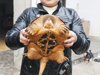 ����ʲô�ꣿ�ܿ���������