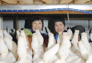 ����һ�� �ӱ���Ʒ������