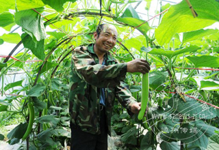 120Ķ�����߲˷ḻ���в�����