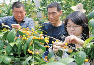 ӣ������