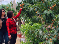 ӣ�Һ��� ��������˸�ӣ�ҽ�