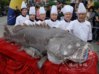 ����ġ���ͷ���е�� ���ŷɻ�������