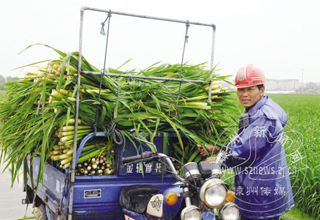 ��������������