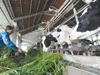 ����Ͷ�����ڶ� �������ذ����