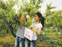 ������Ʒ�������족��������