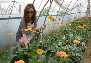 ���л����������οͲ�ߢ