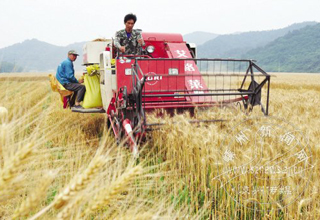 С�����ո�