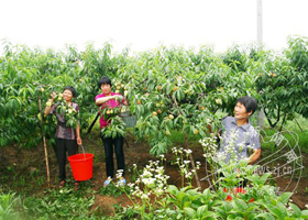 ��������ϲ�����