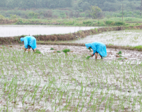 ���д���ð����ˮ��