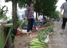 ���ﲻ�����ϵĵط�