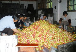 �����´�500Ķ��������