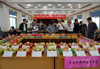 ���о��е��Ľ죨���ر���ˮ����̨��