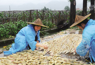 ʯ���������