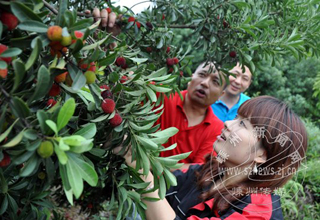 ������÷��ժ ȫ������÷���8000��Ķ