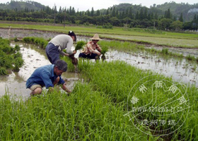 ��ͷ���ӵ㹤�� �ܻ�ӭ