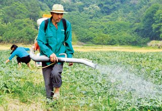 ������� ������æ