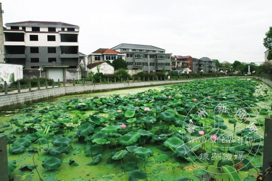 �����ɻ� ��������