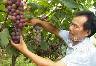 �������� ũ��Ц��