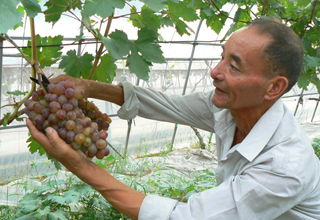 �������쾫Ʒ�������� ÿ����30Ԫ��