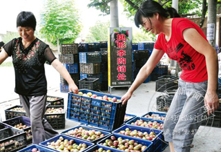 �����������