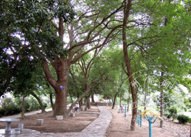 ��������������ù��� ��Ϊ����õط�