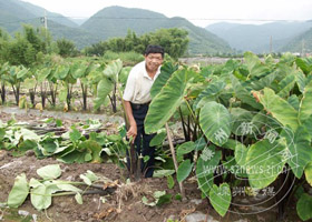 ��������ܵ�ճɺ�