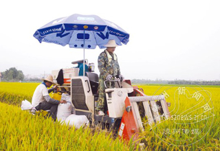 �絾�����ո� �����ѳɶ���