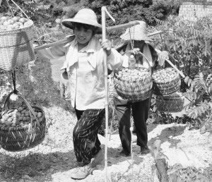 �����н�ͥ���ũ��ժ������ ���¸�ˮ��������