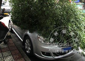 ̨������ �����÷�������