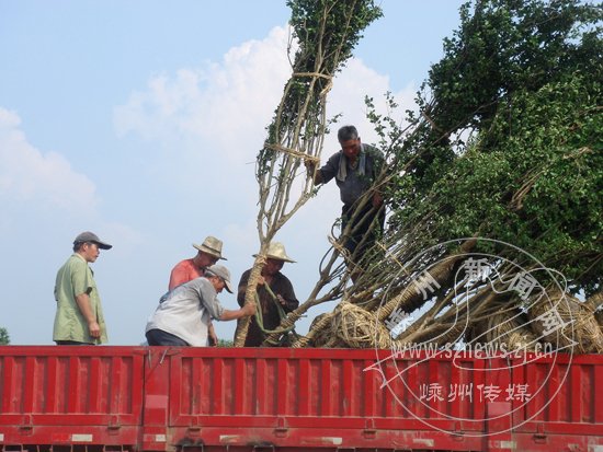 ���������� ������Ȼ��