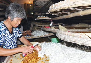 �״β��ô�ͳ���������Ĳϲ���