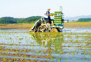 ��������������