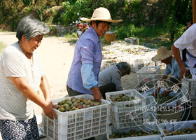 �������������