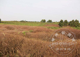 �����󶡱��ʳ��԰ ��ũ������