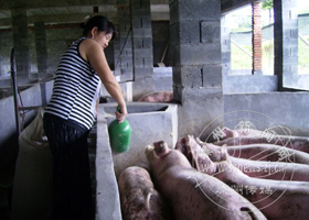 ��ģ��ѧ�����¸�