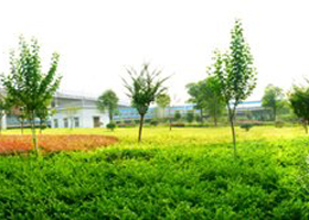 ���ա�����ɽ�� �񳯡���̳��