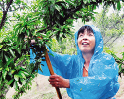 ���á�÷�������ԡ���ʵ