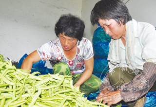 ��ɽ�߲��ô������Ŵ�ɽҲ��ԣ