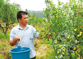 ÿ����40Ԫ���������ú���