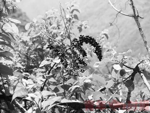 �����������Σֲ��ͻ������ɽ